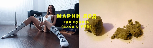 гашик Магадан
