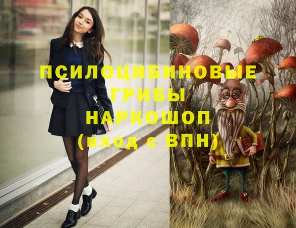 метадон Магас