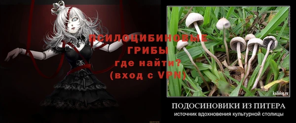 метадон Магас