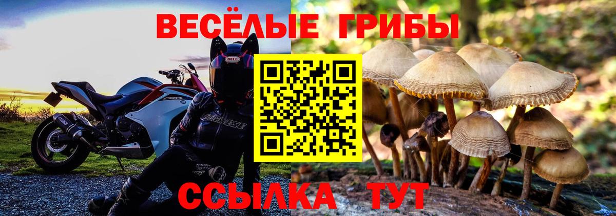 Галлюциногенные грибы GOLDEN TEACHER Ржев