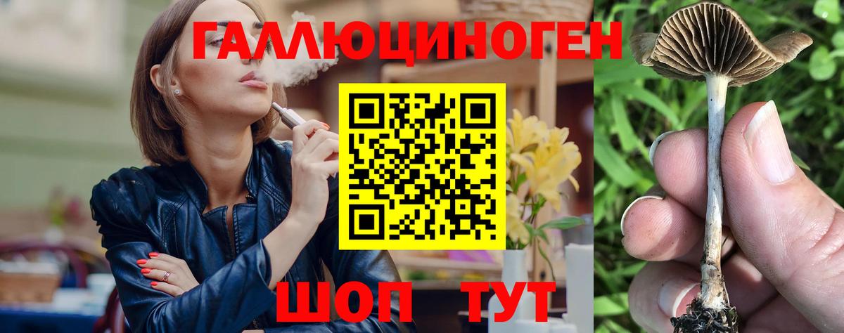 Галлюциногенные грибы MAGIC MUSHROOMS  Галлюциногенные грибы Psilocybine cubensis  Вход с VPN  продажа наркотиков  Ржев 
